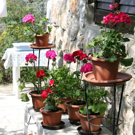 With Parking Space Krk - 5318 Krk Town